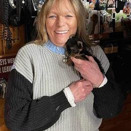 Yorkshire Terrier Puppies from Wendy's AKC Darlings Hudson Valley