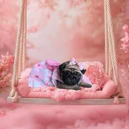 Pug Puppies from Precious Paws