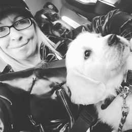 Golden Retriever Puppies from HuesofGold Halos