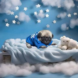 Pug Puppies from Precious Paws