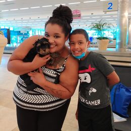 Yorkshire Terrier Puppies from Bayview Yorkies