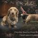 Arlo