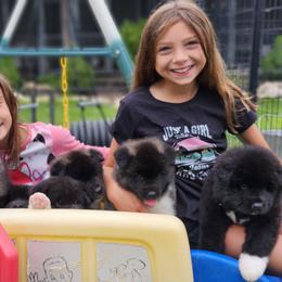 Akita Puppies from TLC Akitas