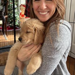 Prancer - Golden female Golden Retriever puppy in Seville, Ohio from Retriever Ranch