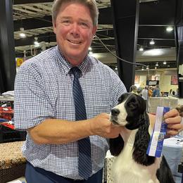 Olivia - English Springer Spaniel