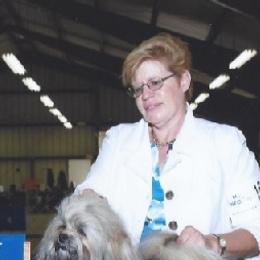 Golden Retrievers and Havanese from Happy Acres Goldens and Havanese