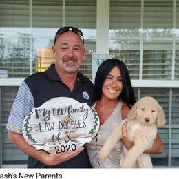 Aussiedoodle and Goldendoodle Puppies from Law Doodles of SC