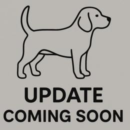 Dewey - Black tan and white male Beagle puppy in Rose Bud, Arkansas from Rajun Cajun Kennels
