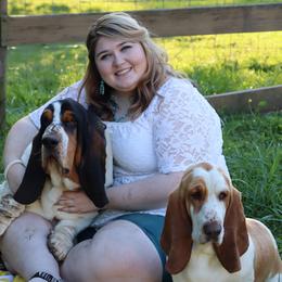 Basset Hounds from Southern Belles Bassets