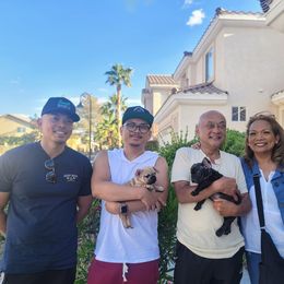 Wasabi - Fawn French Bulldog puppy in Las Vegas, Nevada from Aloha Paradise Kennel