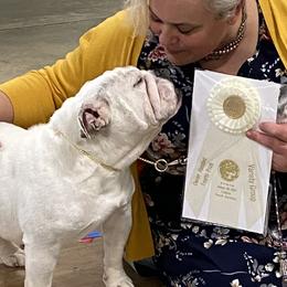 Bulldogs and Pointers from Dogma Pointers & Bulldogs