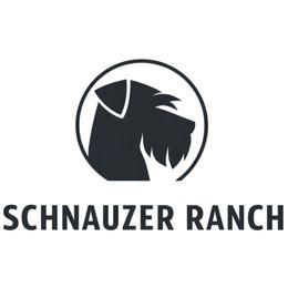 Girl 1 - Black female Giant Schnauzer puppy in St George, Utah from Schnauzer Ranch