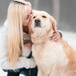 Bailey - Golden Retriever