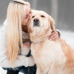 Bailey - Golden Retriever