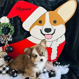 Bryant - Sable male Pembroke Welsh Corgi puppy in Cashion, Oklahoma from Shabby Chic Corgis