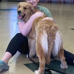 American Staffordshire Terrier and Golden Retriever All Grown Up from Riverbend Goldens