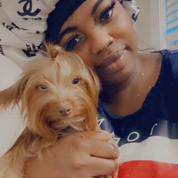 Vera - Yorkshire Terrier