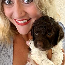 Lagotto Romagnolo Puppies from Anna’s Lagottos