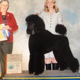 Poodle All Grown Up from Ann Fischer