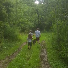 Australian Shepherds from Rush Creek Aussies