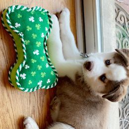 Siberian Husky Puppies from Myths and Legends Siberian Huskies