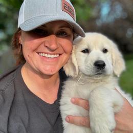 Golden Retriever and Labrador Retriever Puppies from Golden Bundles