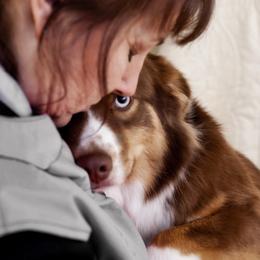 Miniature Australian Shepherds from Rocky Top Kennels