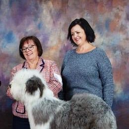 Old English Sheepdogs from Whimzy Old English Sheepdogs