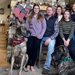 Great Danes from Grays Danes