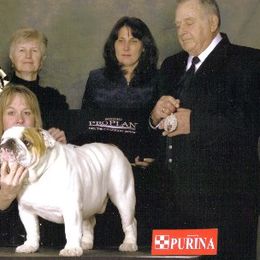 Bulldogs from Beams Bulldogs