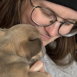 French Bulldogs from Midge’s Meadowland Frenchie’s
