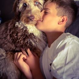 Aussiedoodle Puppies from Gore Doodle Ranch