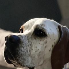 Pointers from Corwyn Pointers