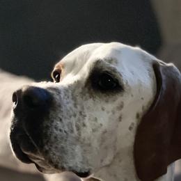 Pointers from Corwyn Pointers