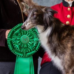 Borzois and Silken Windhounds from Avalon