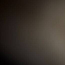 Green - Gray female Cane Corso puppy in Opelousas, Louisiana from Azelees Cane Corso