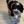 Unnamed