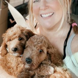 Goldendoodle Puppies from The Doodle grove