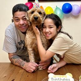 Goldendoodle Puppies from Furever Doodle