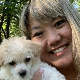 Poodle Puppies from My Little Poodle