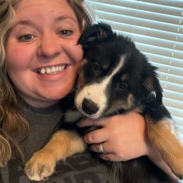 Flower - Black tri-color female Australian Shepherd puppy in Tucson, Arizona from TTTNT Aussies