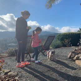 Bordoodle Puppies from 2J 2K Bordoodles