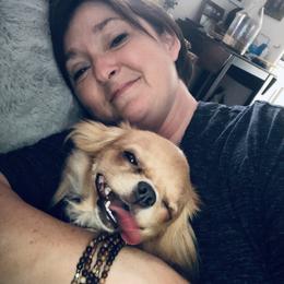Chihuahua All Grown Up from Home Grown Chihuahuas From Iowa