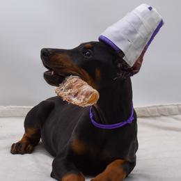 Purple collar female - Black and rust female Doberman Pinscher puppy in Lafayette, Louisiana from Indah Lux Dobermans