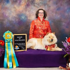 Chow Chow from Cynthia Becker