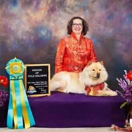 Chow Chow from Cynthia Becker