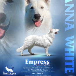 Berger Blanc Suisse puppies from Von Holtzapple German shepherds