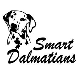 Girl 1 - White and black female Dalmatian puppy in Westhoff, Texas from Smart Dalmatians