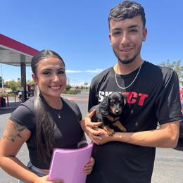 READY NOW.  Pillow-Cat - Black and tan female Dachshund puppy in Duncan, Arizona from Bootheel Doxies & Poms