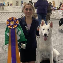 Nova - Berger Blanc Suisse